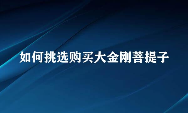 如何挑选购买大金刚菩提子