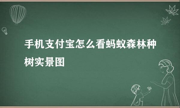 手机支付宝怎么看蚂蚁森林种树实景图