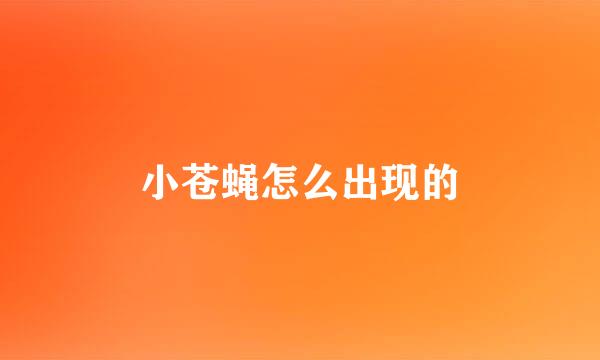 小苍蝇怎么出现的