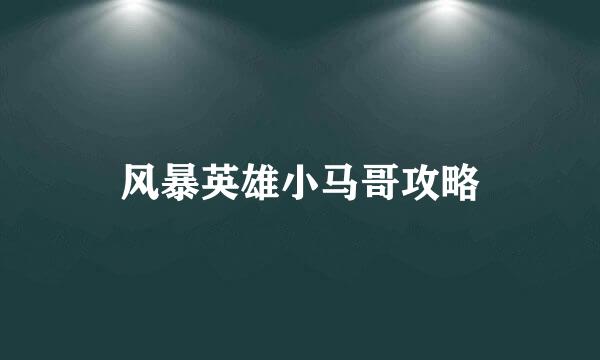 风暴英雄小马哥攻略