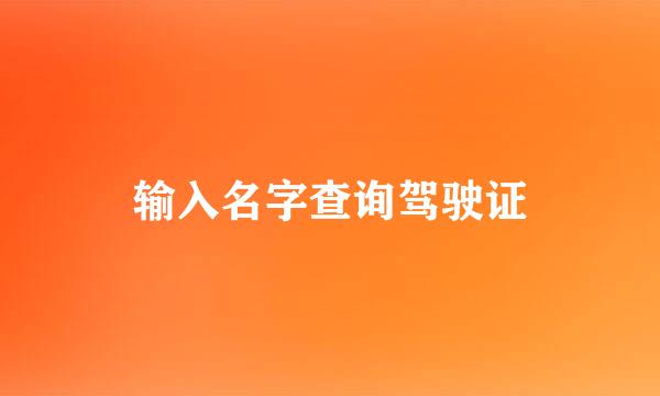 输入名字查询驾驶证