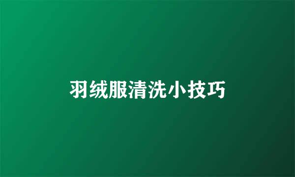 羽绒服清洗小技巧