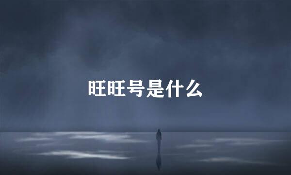旺旺号是什么