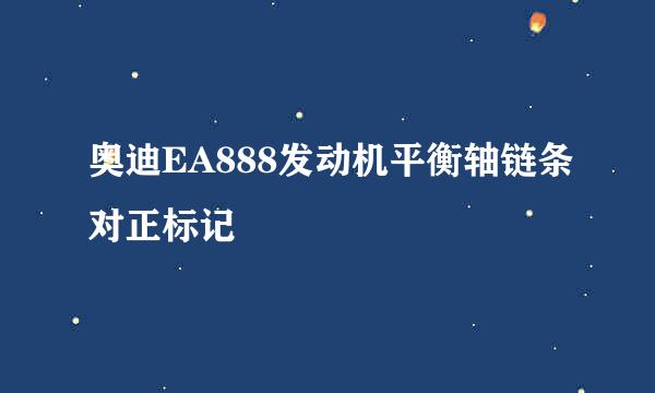 奥迪EA888发动机平衡轴链条对正标记