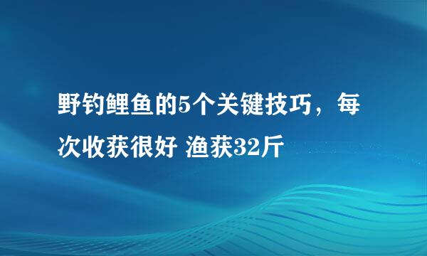 野钓鲤鱼的5个关键技巧，每次收获很好 渔获32斤