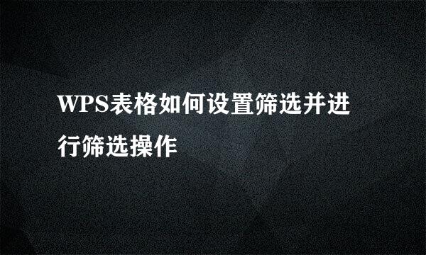 WPS表格如何设置筛选并进行筛选操作