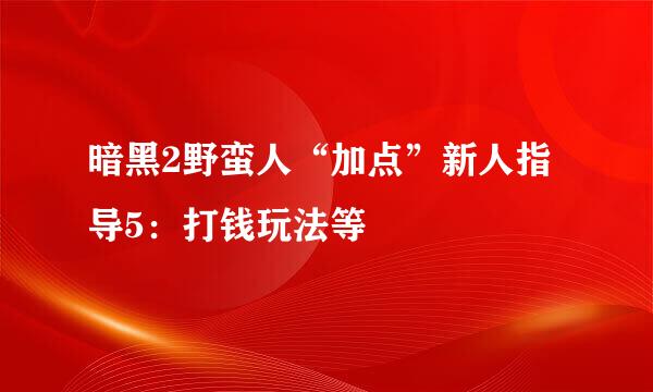 暗黑2野蛮人“加点”新人指导5：打钱玩法等