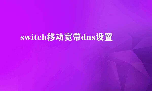 switch移动宽带dns设置