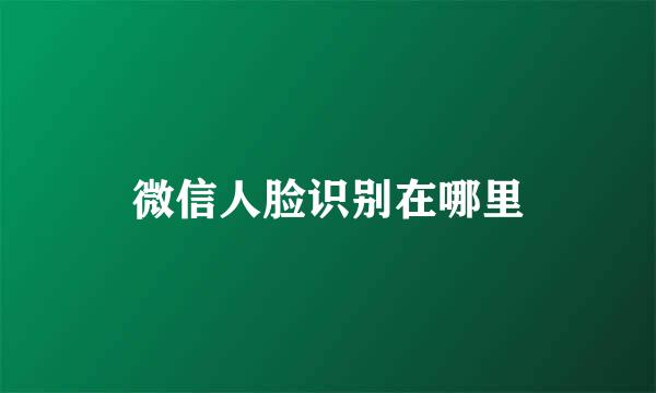 微信人脸识别在哪里