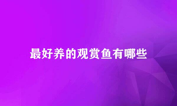 最好养的观赏鱼有哪些