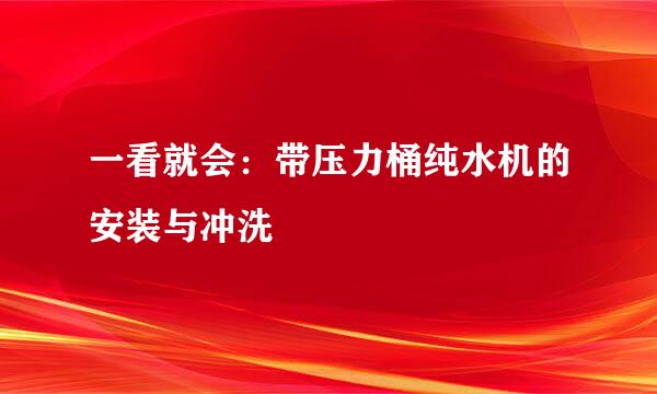 一看就会：带压力桶纯水机的安装与冲洗