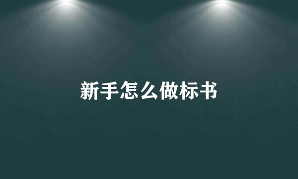 新手怎么做标书