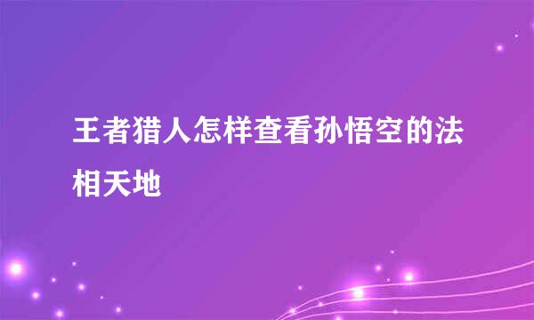 王者猎人怎样查看孙悟空的法相天地
