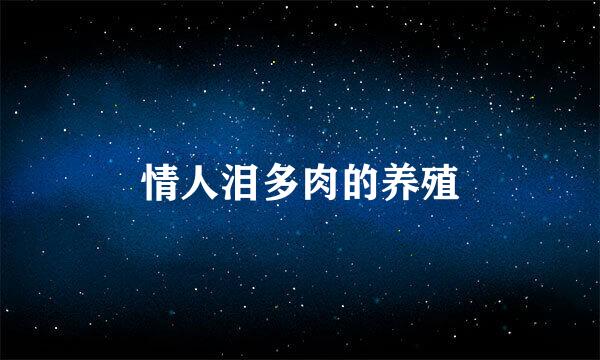 情人泪多肉的养殖