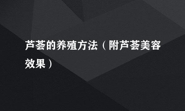 芦荟的养殖方法（附芦荟美容效果）