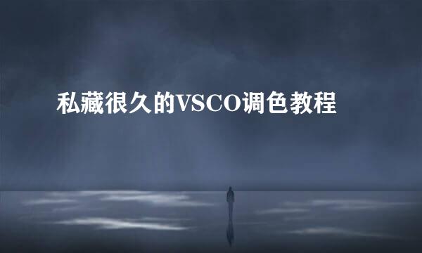 私藏很久的VSCO调色教程