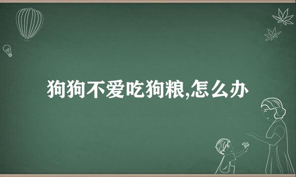 狗狗不爱吃狗粮,怎么办