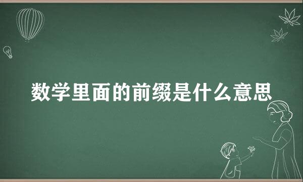 数学里面的前缀是什么意思