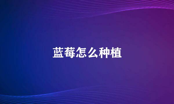 蓝莓怎么种植