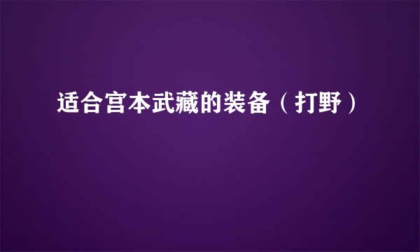 适合宫本武藏的装备（打野）