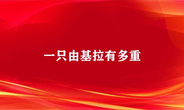 一只由基拉有多重