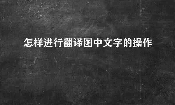怎样进行翻译图中文字的操作