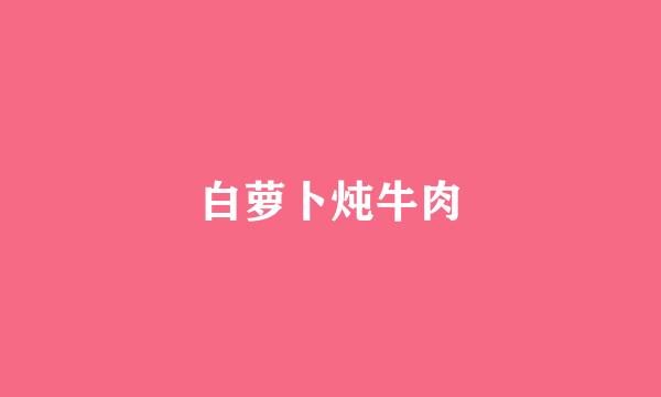 白萝卜炖牛肉
