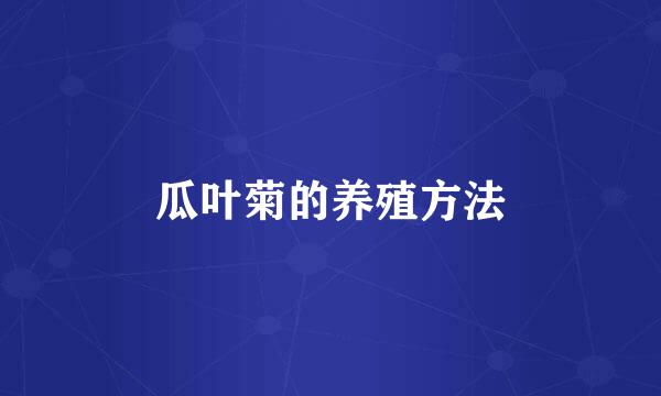 瓜叶菊的养殖方法