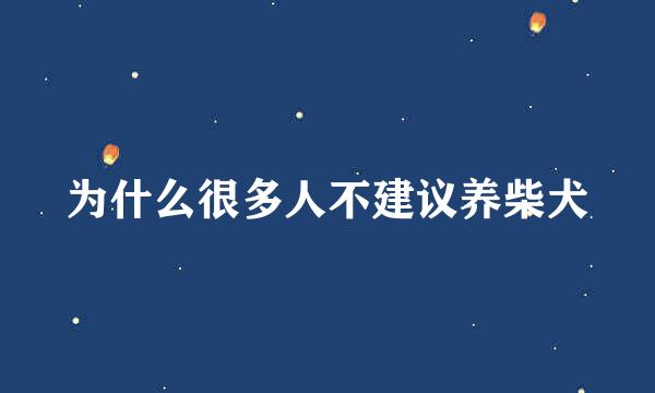 为什么很多人不建议养柴犬