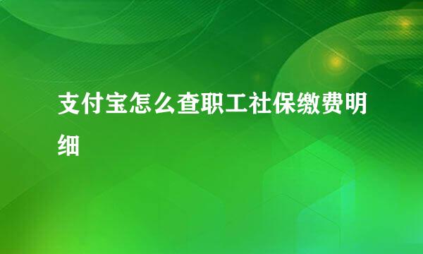 支付宝怎么查职工社保缴费明细