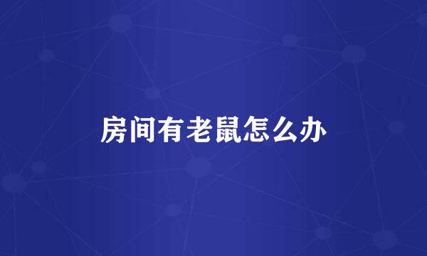 房间有老鼠怎么办