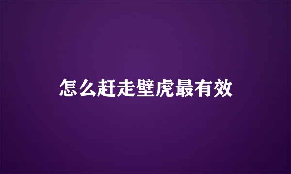 怎么赶走壁虎最有效