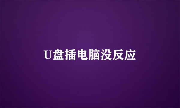 U盘插电脑没反应