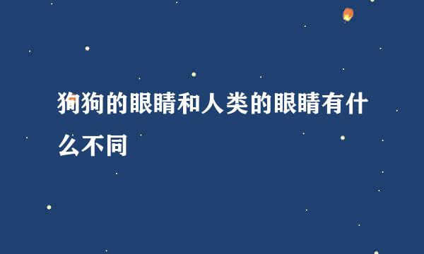 狗狗的眼睛和人类的眼睛有什么不同
