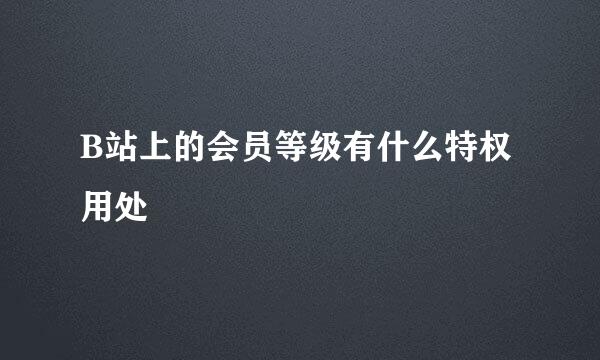 B站上的会员等级有什么特权用处