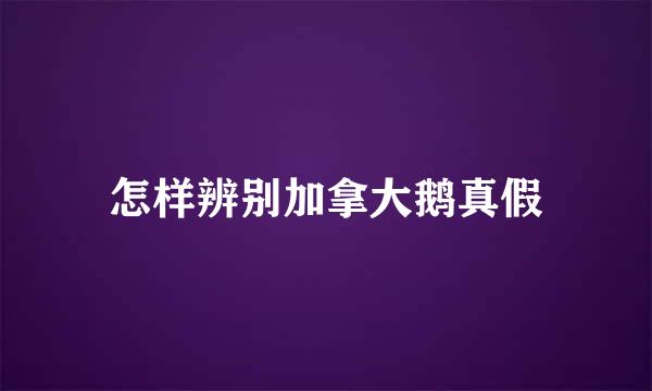 怎样辨别加拿大鹅真假
