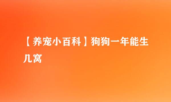【养宠小百科】狗狗一年能生几窝
