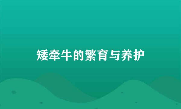 矮牵牛的繁育与养护