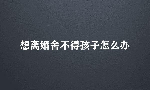 想离婚舍不得孩子怎么办