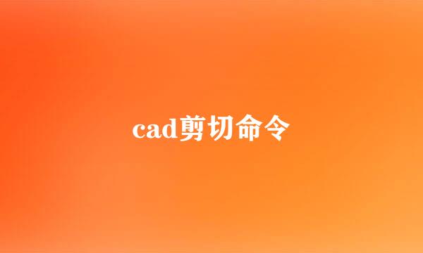 cad剪切命令