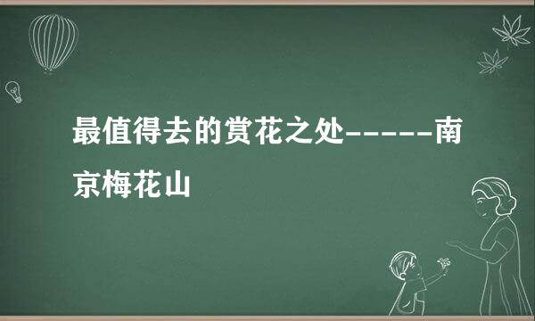 最值得去的赏花之处-----南京梅花山