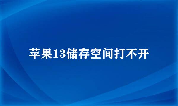 苹果13储存空间打不开