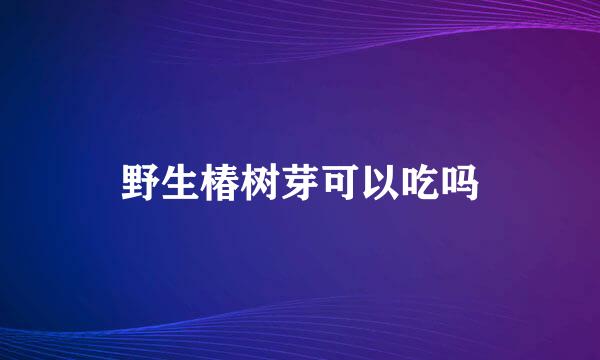 野生椿树芽可以吃吗