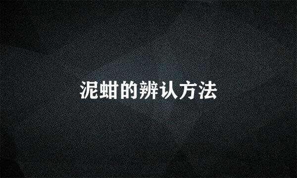 泥蚶的辨认方法