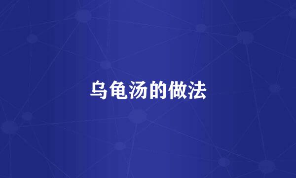 乌龟汤的做法