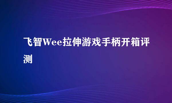 飞智Wee拉伸游戏手柄开箱评测
