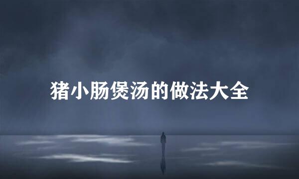猪小肠煲汤的做法大全