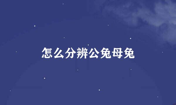 怎么分辨公兔母兔