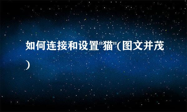 如何连接和设置