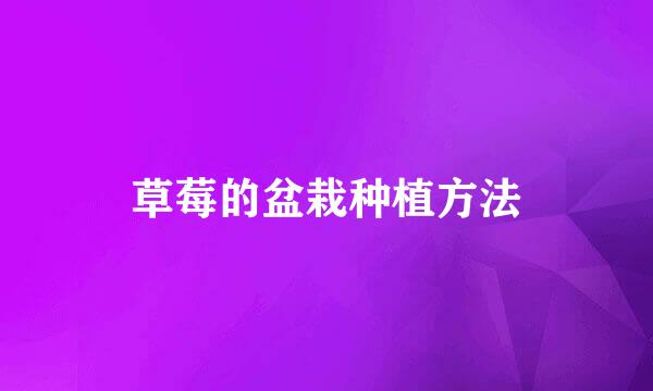 草莓的盆栽种植方法